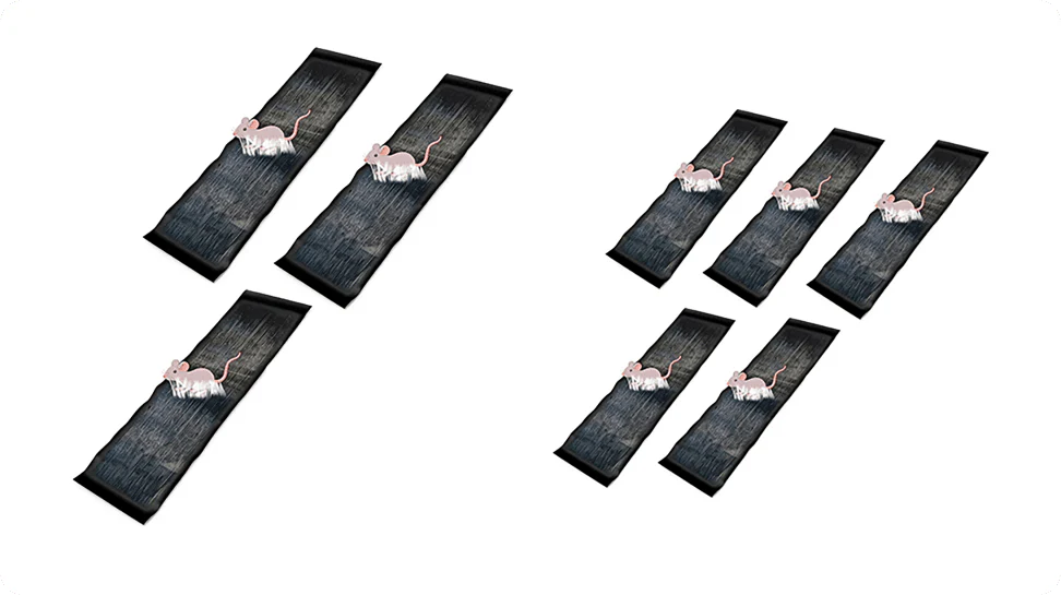 Thumbnail 19
