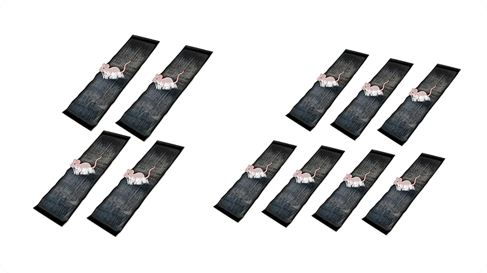 Thumbnail 20