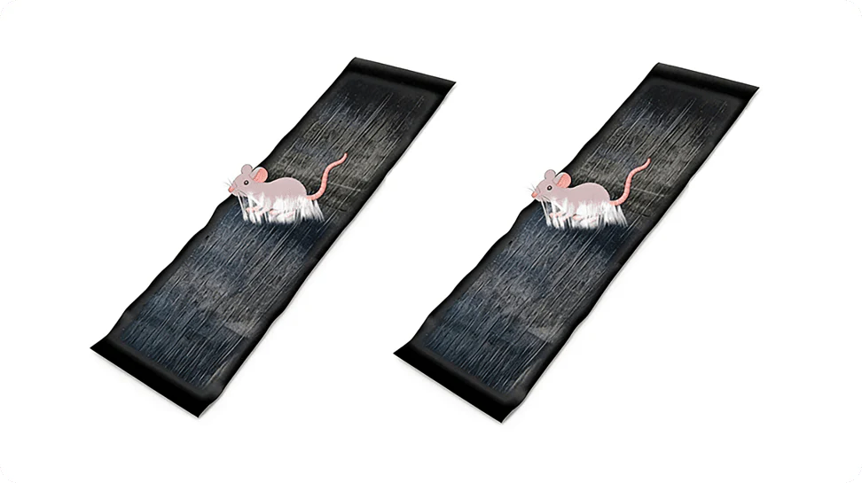 Thumbnail 25